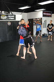 Mma, Bjj, Jiujitsu, Grappling, kickboxing, combat, martial HD wallpaper