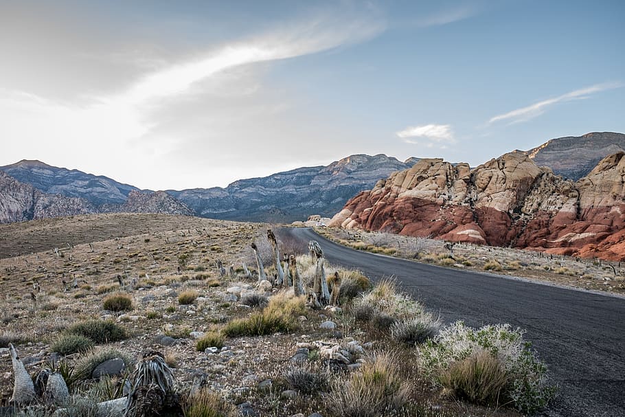 black concrete road surrounded by rocks during daytime, black concrete top road between brown rock formation HD wallpaper