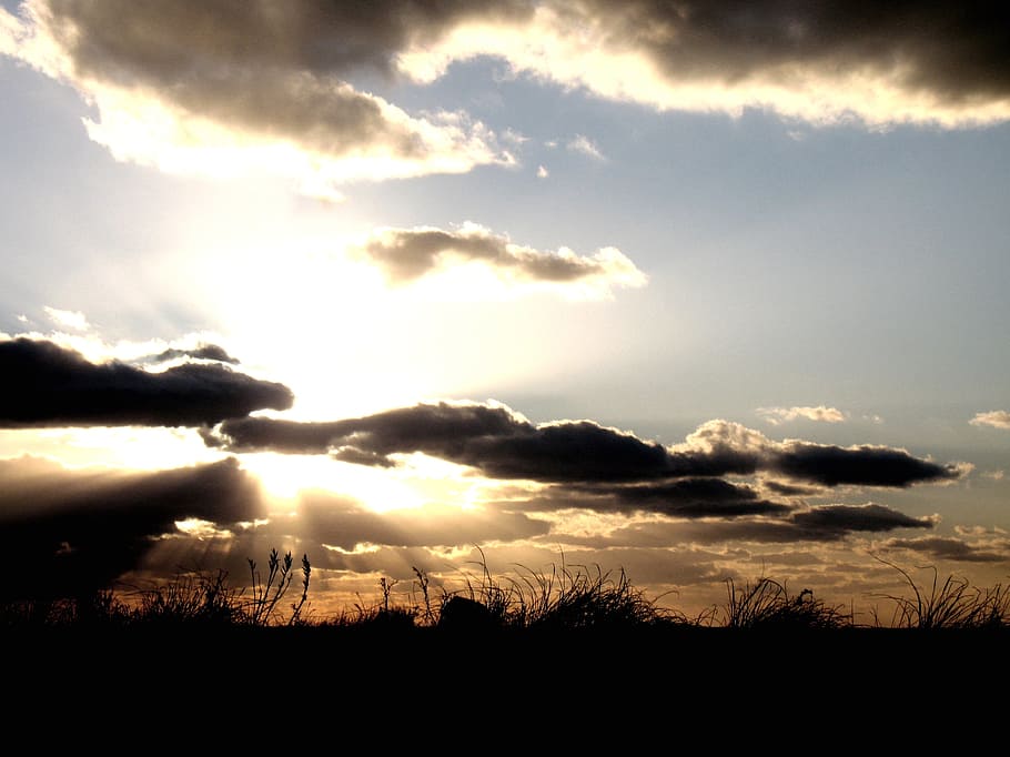 sunset, sky, nature, clouds, trees, beautiful, tranquil, colors HD wallpaper