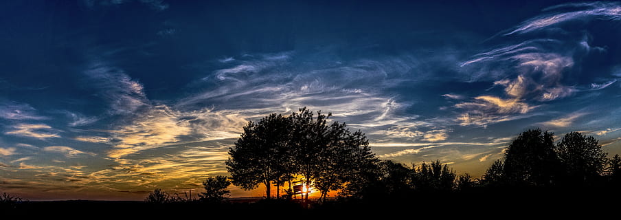 tall tree during sunset, Panorama, Clouds, Evening, abendstimmung HD wallpaper