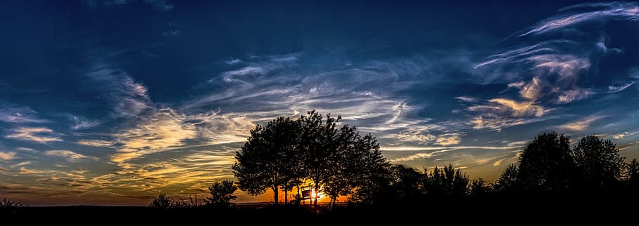 tall tree during sunset, Panorama, Clouds, Evening, abendstimmung HD wallpaper