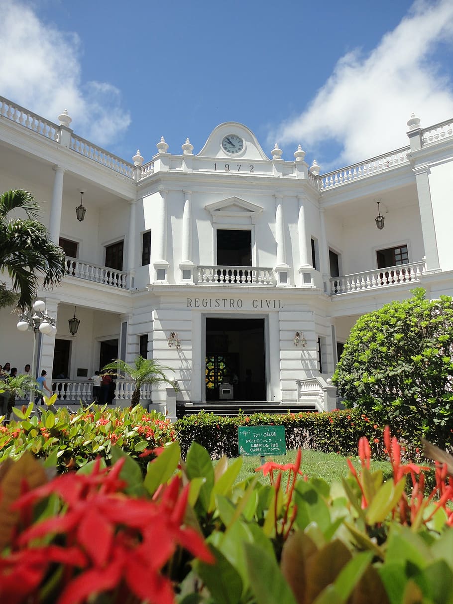 building, flowers, sky, clouds, veracruz, architecture, building Exterior HD wallpaper