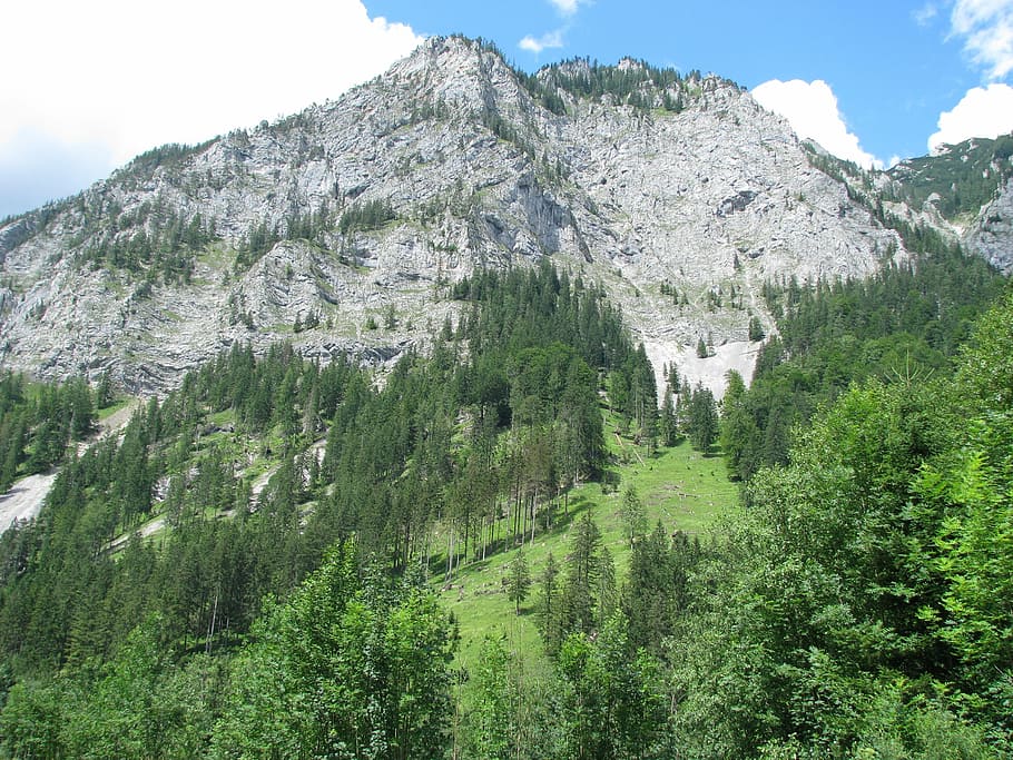 Mountains, Austria, Alps, nature, tree, green color, mountain range HD wallpaper