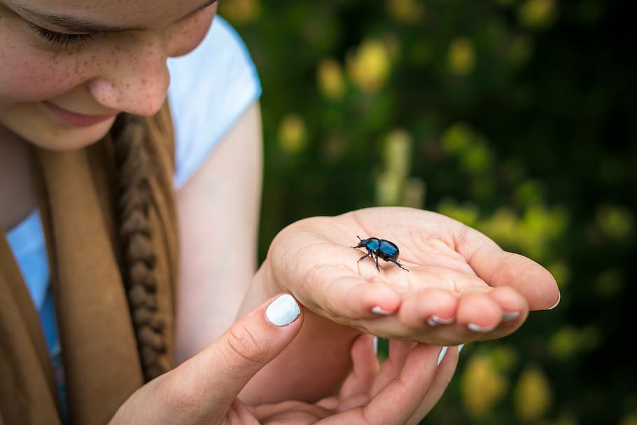 woman holding black bug near green bush during daytime, beetle HD wallpaper