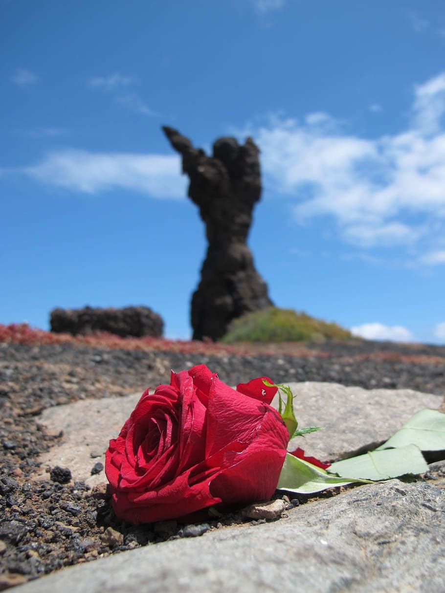 Flower, Red, Rock, Sculpture, Sky, rosa, picón, rose - flower HD wallpaper