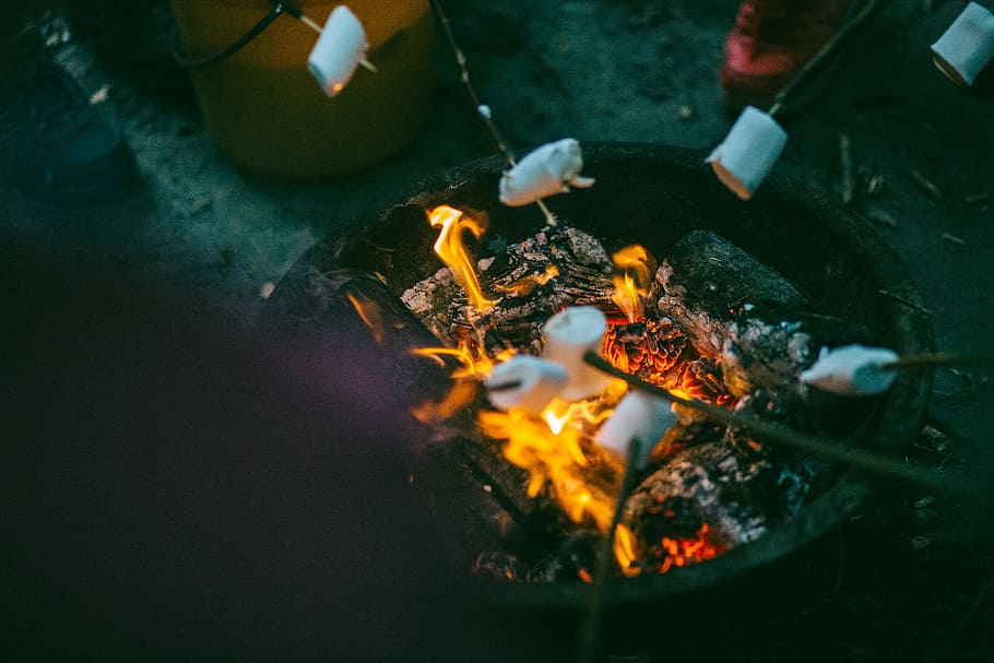 people grilling marshmallows, marshmallow on fire, bonfire, firepit, HD wallpaper