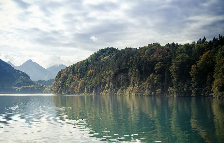 panoramic landscape photography of tall trees under nimbus clouds near river HD wallpaper