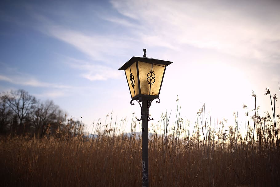 nature, sky, clouds, vintage, grass, idyllic, lamppost, rural HD wallpaper