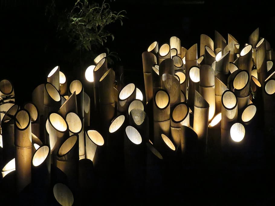 bamboo, plant, reed, lighting equipment, illuminated, night HD wallpaper