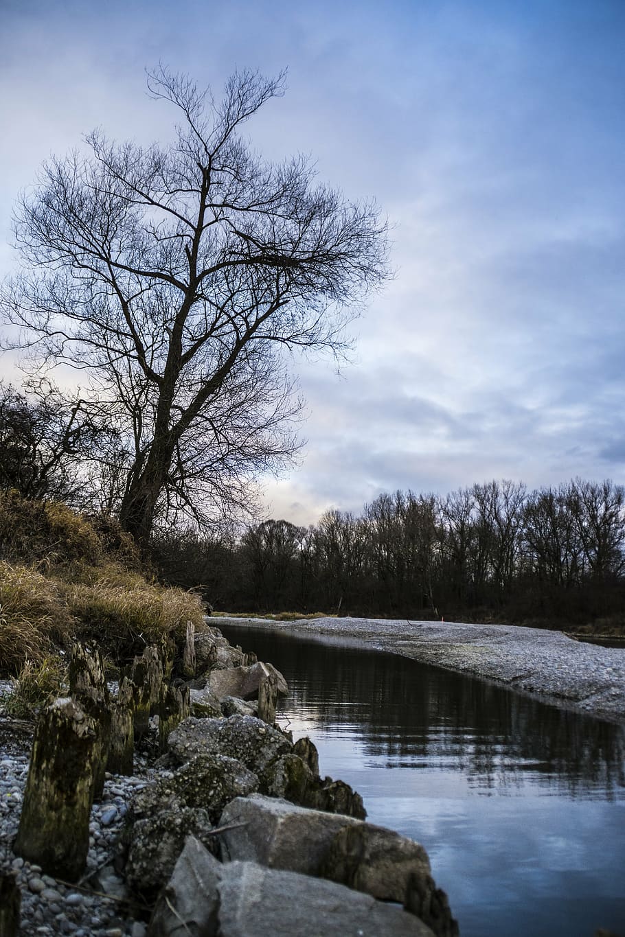 isar, tree, sky, clouds, nature, river, tourism, water, bank HD wallpaper