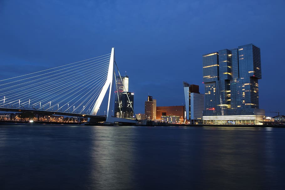 suspended bridge near buildings, Rotterdam, City, Bridge, Netherlands, HD wallpaper