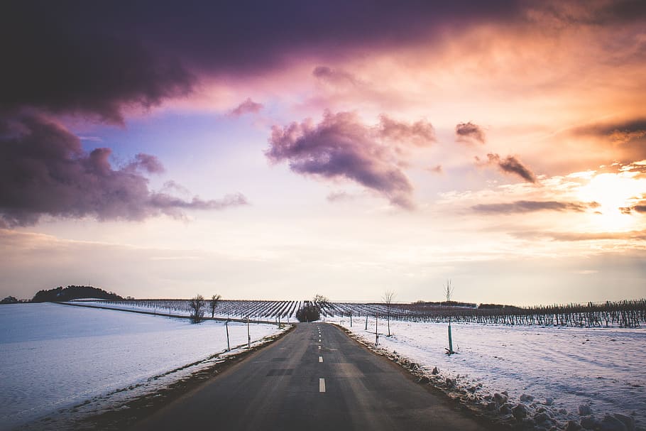 photo of empty pave road during golden hour, sunset, horizon HD wallpaper
