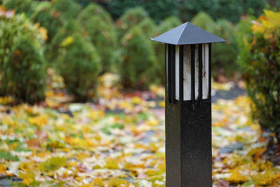 defoliation, grove, maple, street lamp, autumn, focus on foreground HD wallpaper