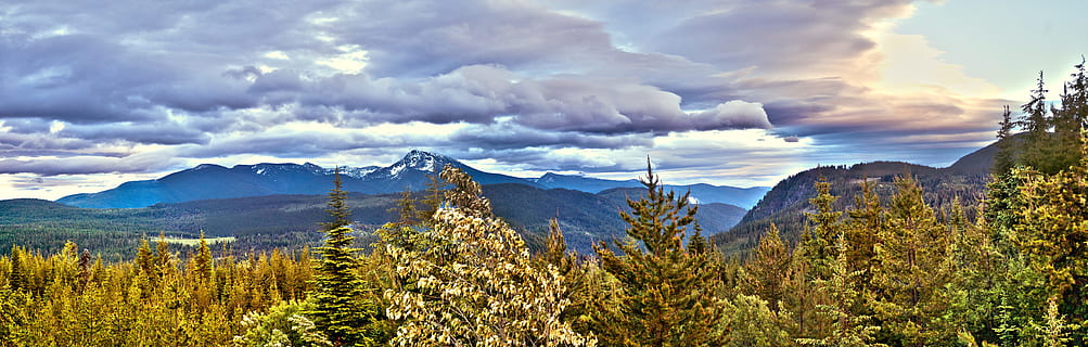 photo of green trees during daytime, mountain range, landscape HD wallpaper