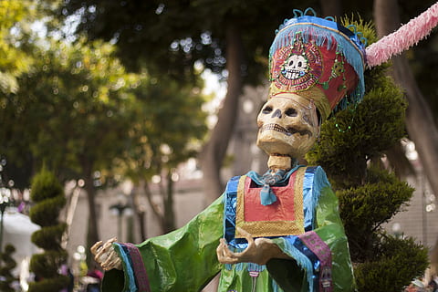 skeleton statue near tree, skeleton dressed with cap, skull, costume HD wallpaper