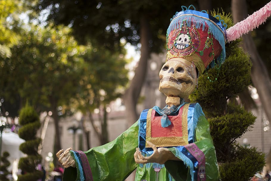 skeleton statue near tree, skeleton dressed with cap, skull, costume HD wallpaper
