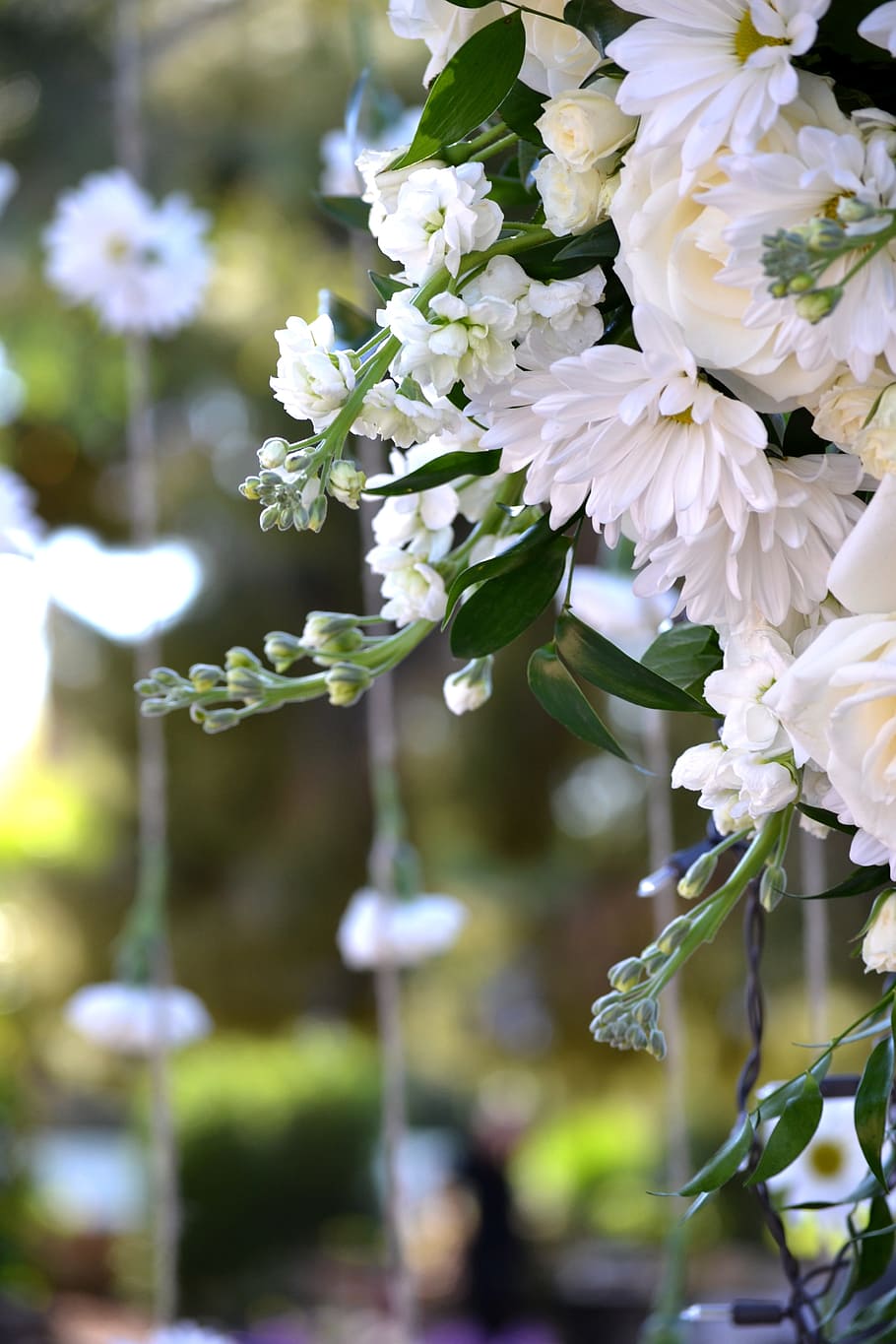 White Flowers, Wedding Decorations, hanging flowers, marriage, HD wallpaper