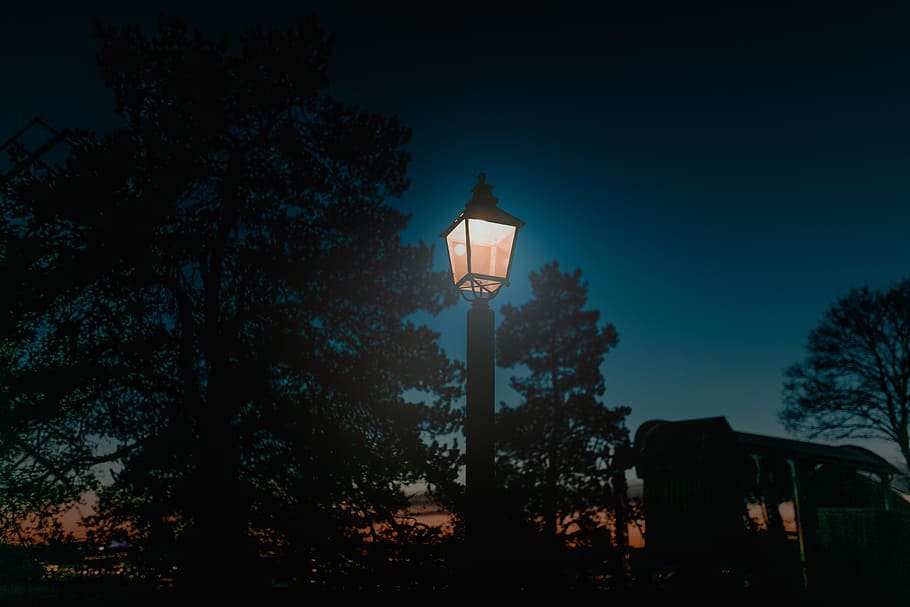 pole, lamp, outside, trees, plant, night, light, lighting equipment HD wallpaper