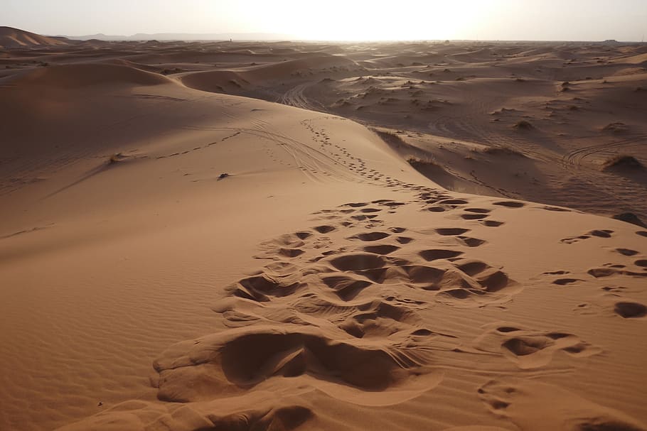 desert, morocco, sunset, dunes, nature, africa, sand, land HD wallpaper