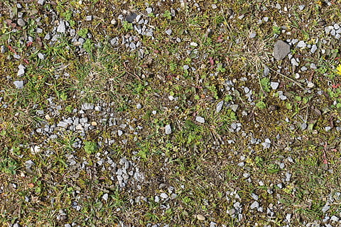 ground, stones, grass, pebble, steinchen, earth, green, brown HD wallpaper