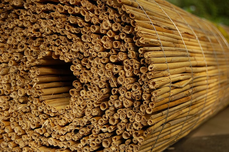 Reed, Roll, Fence, wood - Material, brown, close-up, stack HD wallpaper