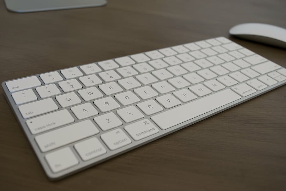 keyboard, mouse, apple, computer, business, office, technology HD wallpaper