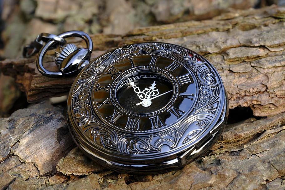 round pocket watch on tree trunk, clock, time, time of, time indicating, HD wallpaper