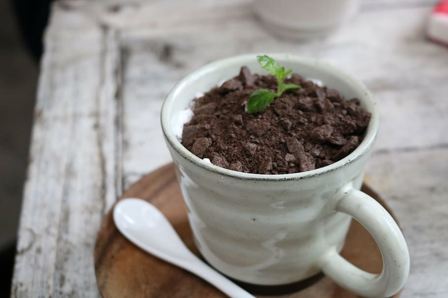 coffee, afternoon tea, cup, food and drink, wood - material HD wallpaper