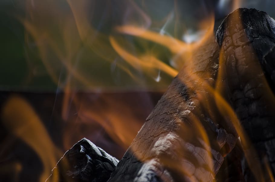 closeup photo of burned firewood, closeup photography of bonfire HD wallpaper