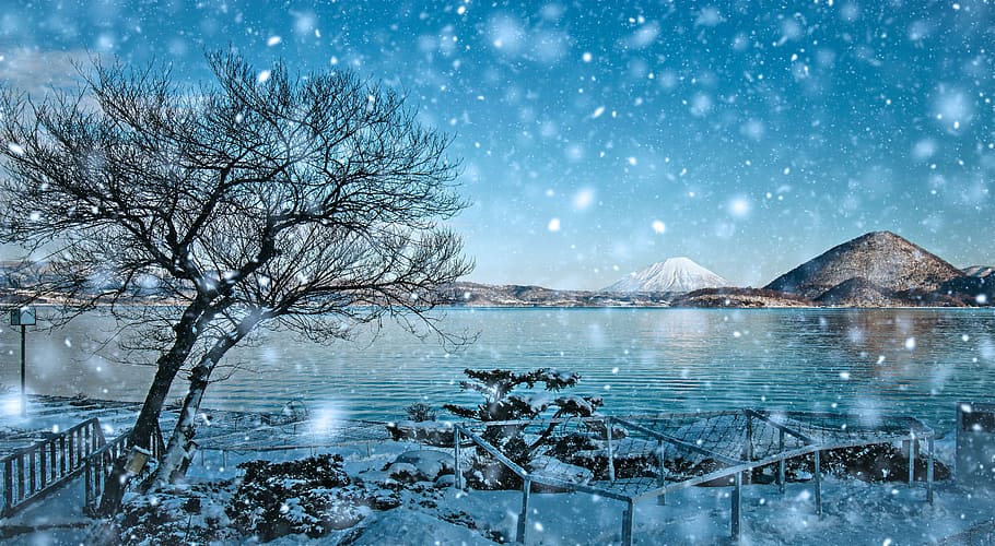 waters, nature, winter, tree, landscape, snow, tourism, outdoor HD wallpaper