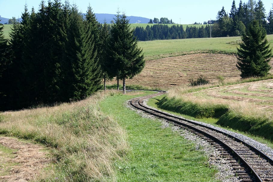 railway, priroda, rails, plant, tree, rail transportation, track HD wallpaper