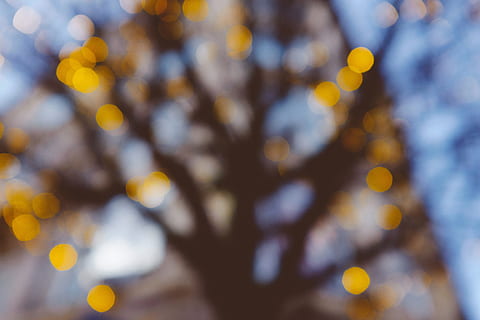 Christmas Bokeh Lights, abstract, defocused, backgrounds, nature HD wallpaper