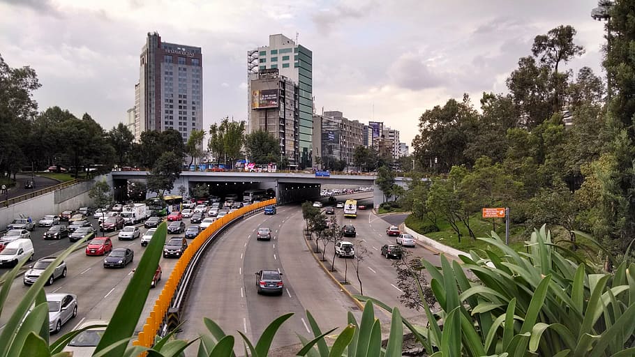 cars running on road during daytime, city, mexico, mexico city