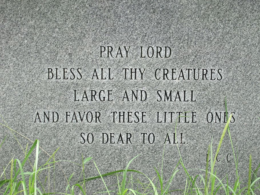 pets, grave, prayer, dog, animal, cemetery, bury, cat, graveyard HD wallpaper