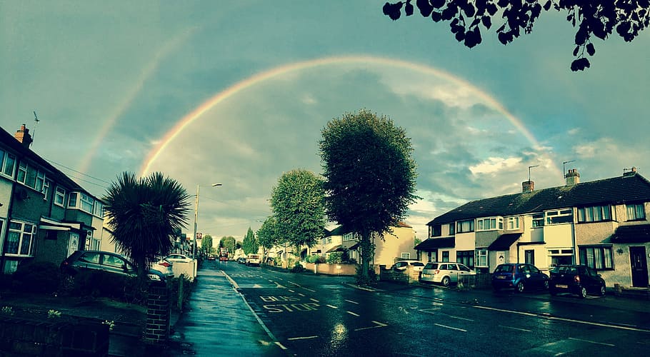 rainbow, weather, wet, sky, city, tree, architecture, built structure HD wallpaper