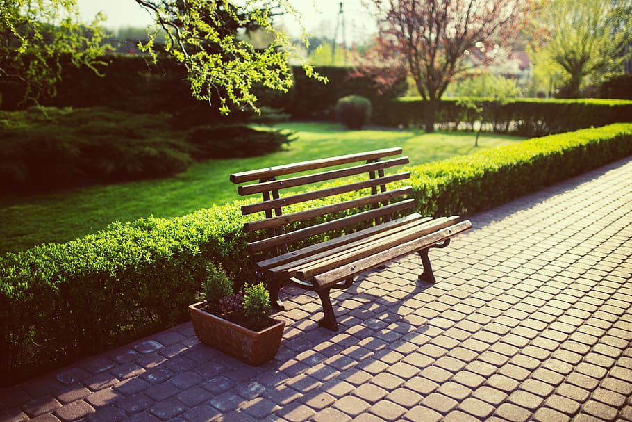empty brown wooden bench on concrete pathway, garden, green HD wallpaper