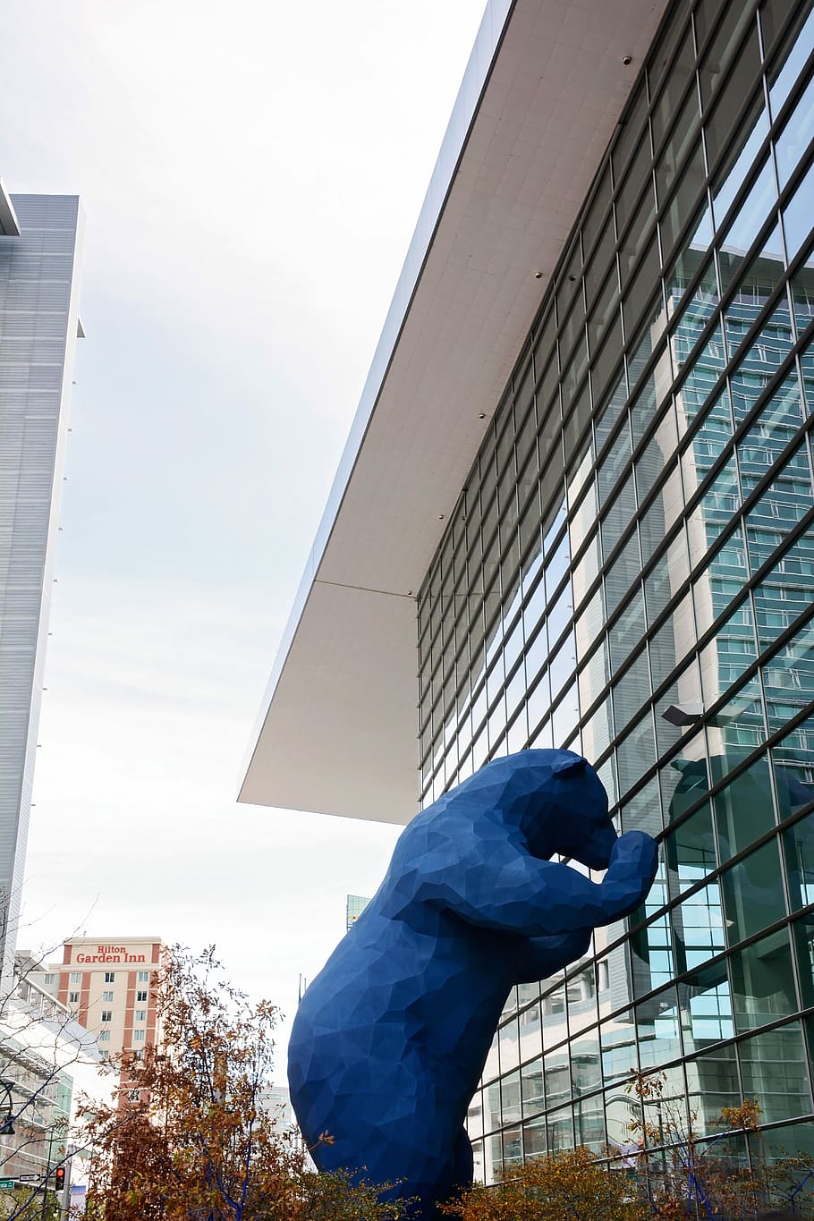 Blue Bear Looking In, blue bear statue beside building, architecture HD wallpaper