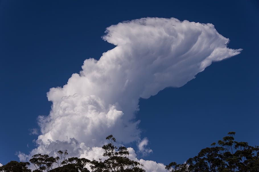 cloud, white, blue, dramatic, shape, weather, sky, australia HD wallpaper