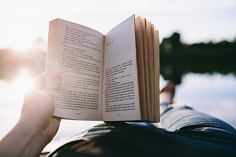 Reading book at lake, summer, resting, relaxing, time, evening HD wallpaper