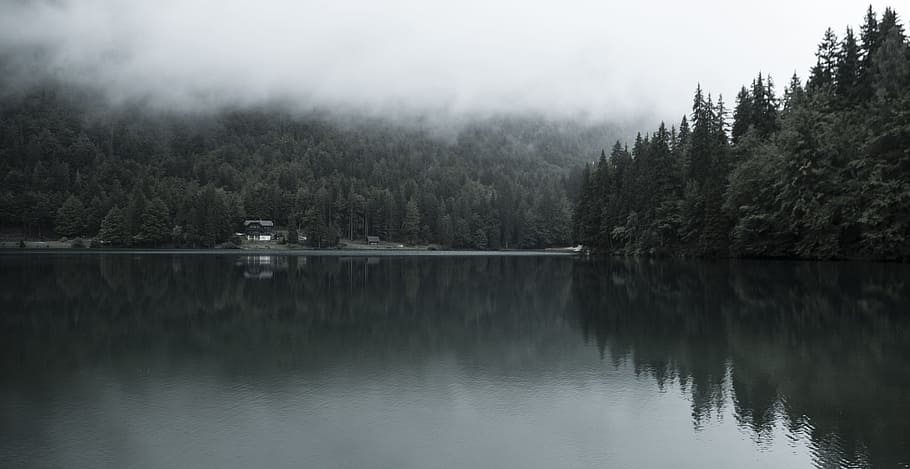 body of water under fog, body of water surrounded by trees, landscape photography HD wallpaper
