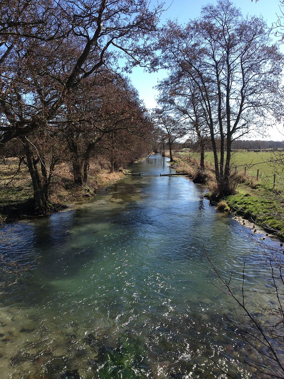 stream, water, trees, nature, plant, tranquility, scenics - nature HD wallpaper