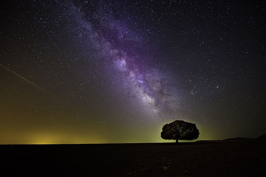 tree during night time with purple sky, tree under stars, green tree HD wallpaper