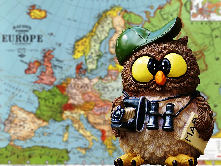 brown and multicolored owl figure, travel, tourist, funny, cute