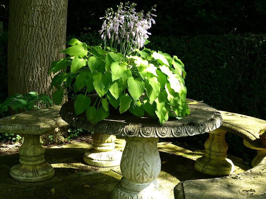 Idyll, Garden, Bench, Stone, Stone Table, Plant, garden bench, HD wallpaper