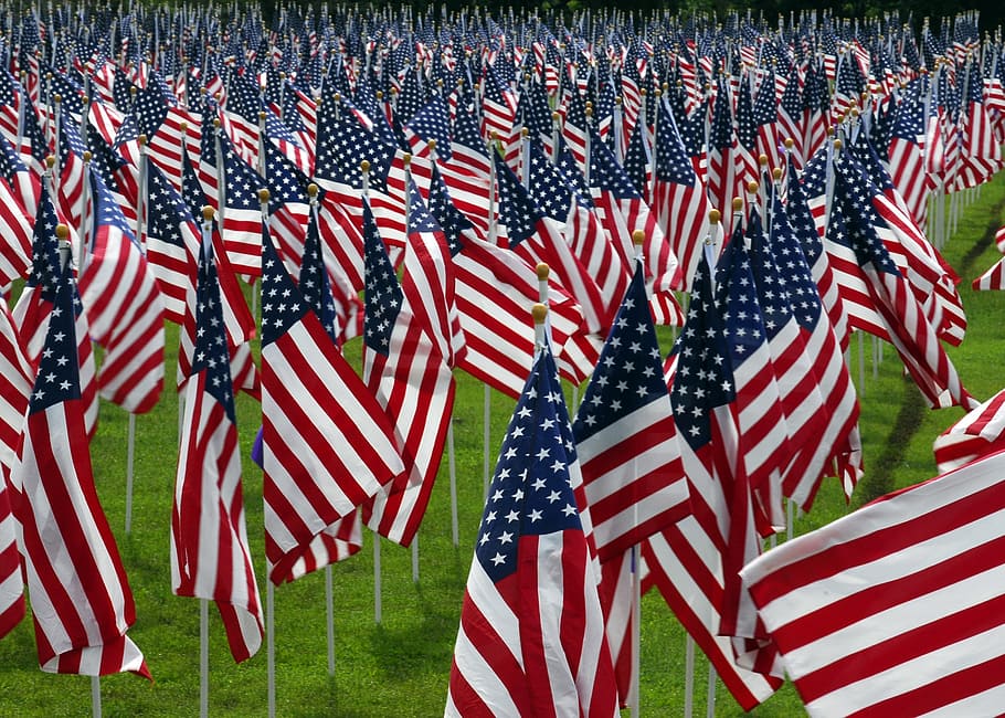 USA national flags, american flags, cemetery, graves, veterans