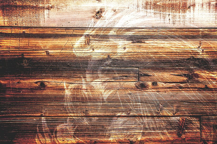 angels, fallen, devil, wood - material, backgrounds, full frame HD wallpaper