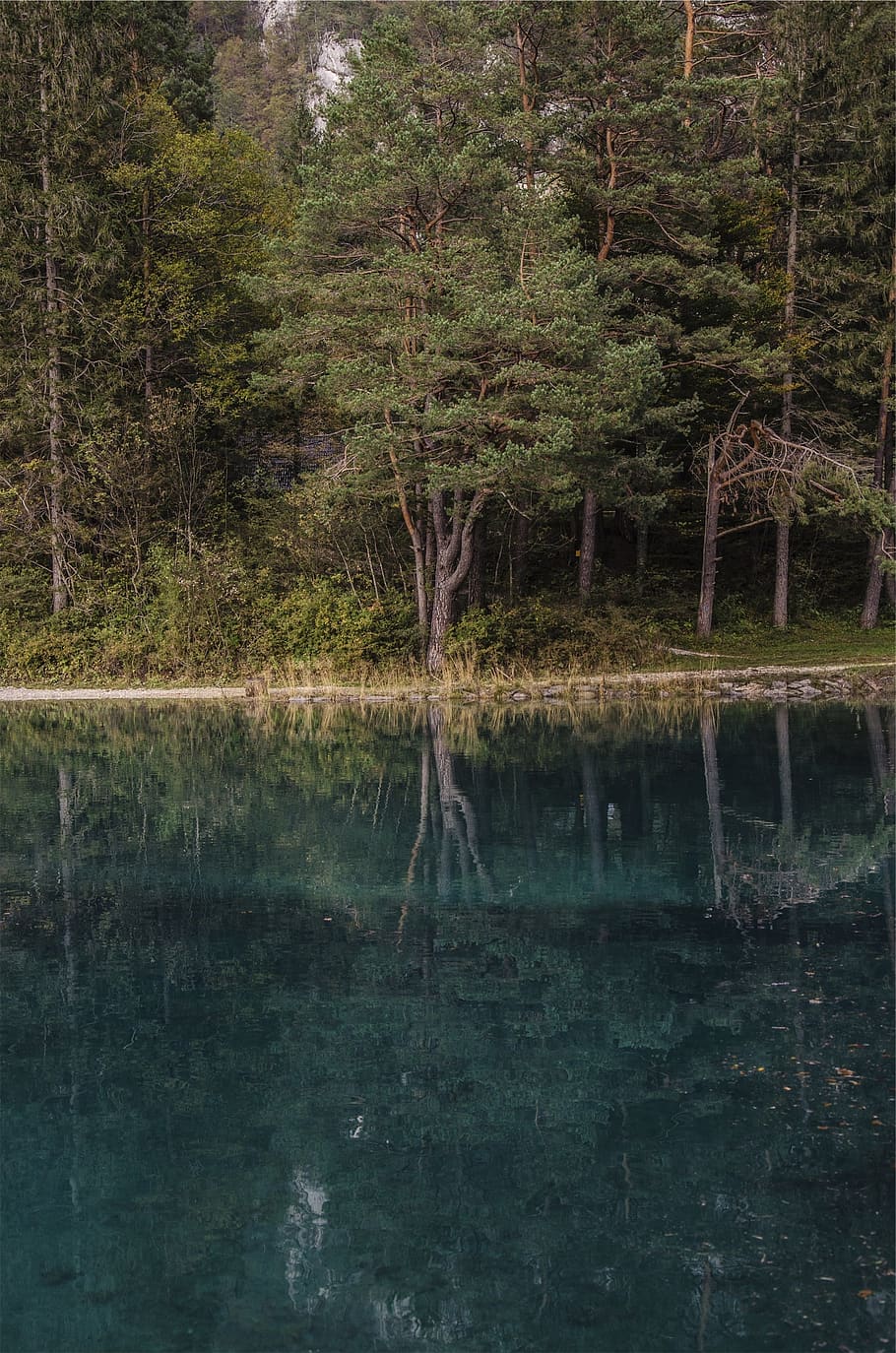 lake, water, reflection, trees, forest, plant, tranquility HD wallpaper