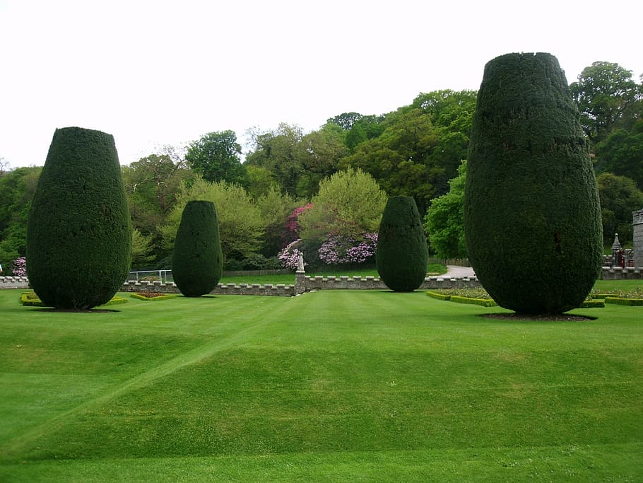park, maintained, rush, grass, english garden, bushes, trees HD wallpaper