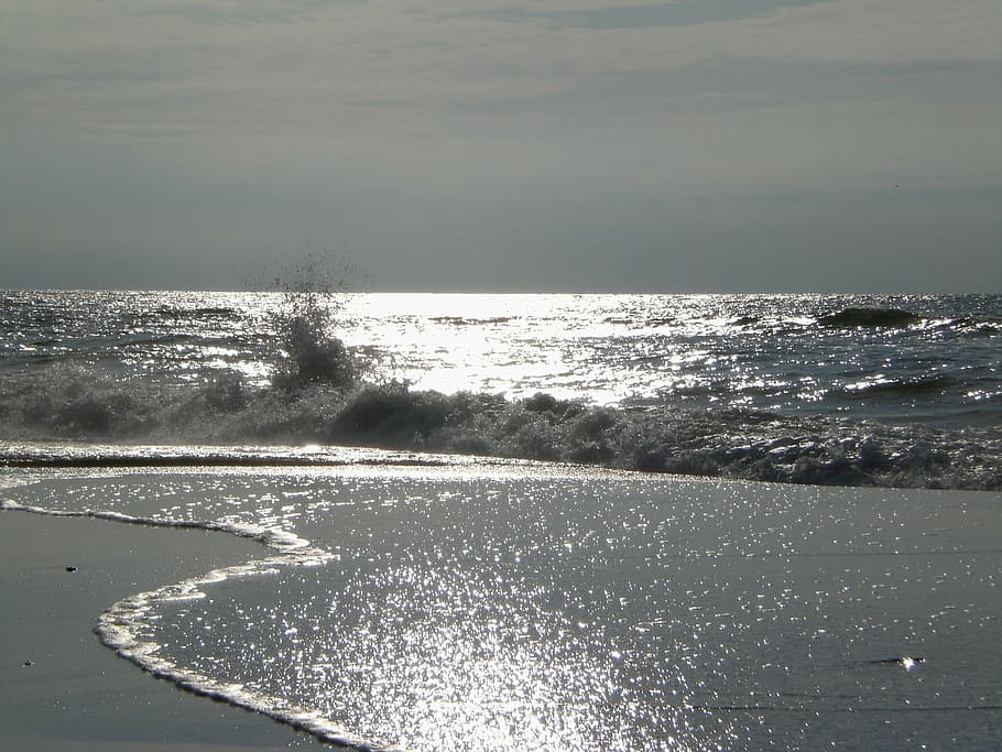 Sea, Back Light, Light, Wave, Coast, water, nature, reflection HD wallpaper