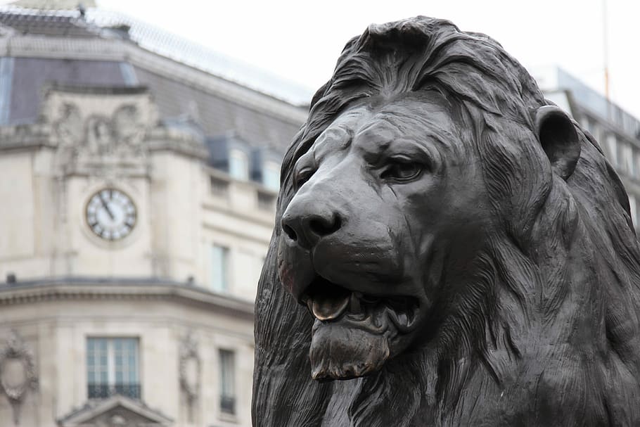 black lion statue besides white building with clock, Animal, Architecture, HD wallpaper